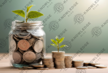 Personal financial growth